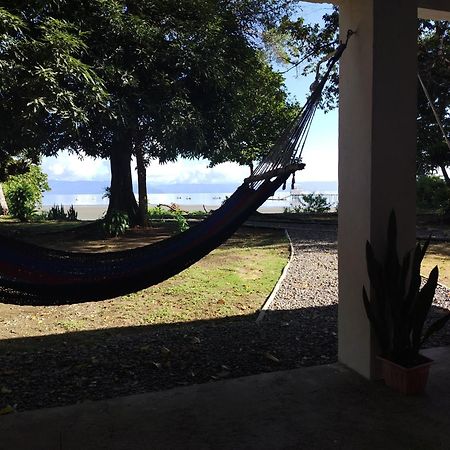 Villa Happy Monkeys Puerto Jiménez Exterior foto
