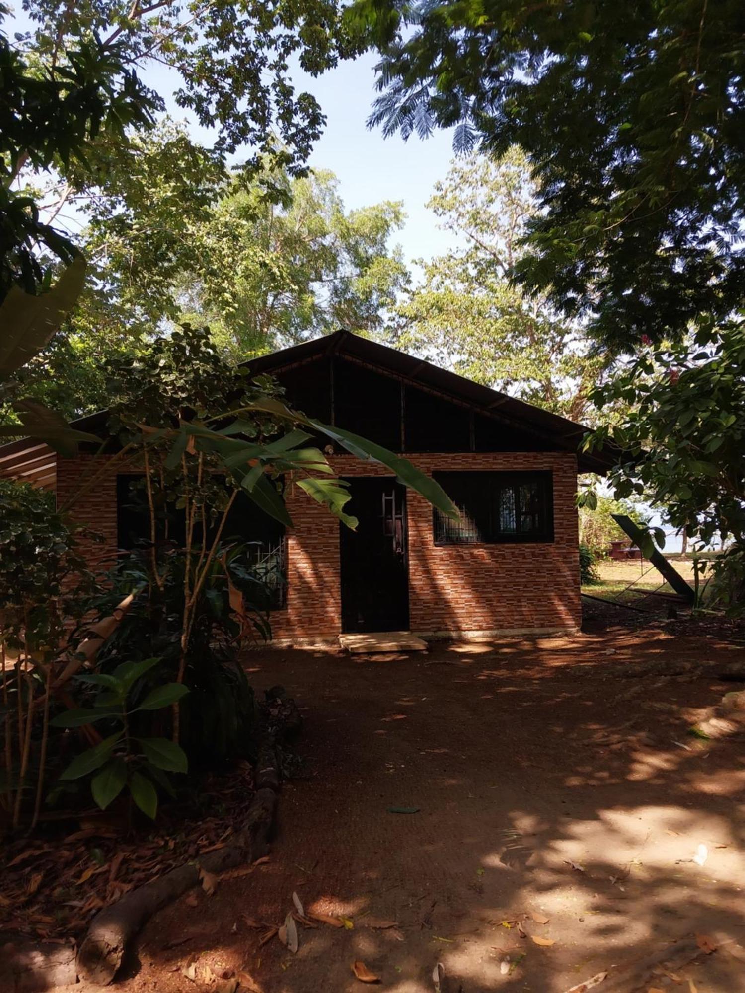 Villa Happy Monkeys Puerto Jiménez Exterior foto