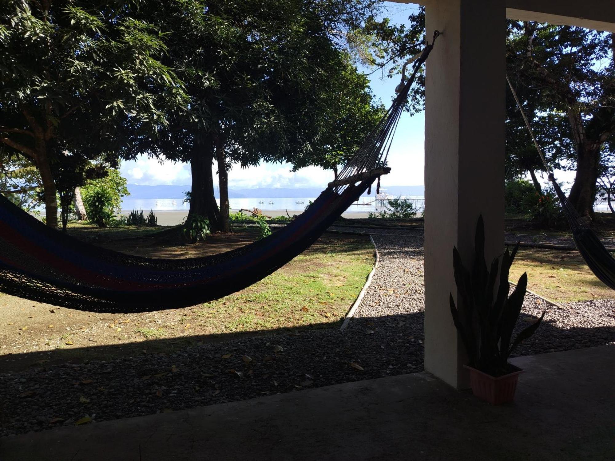Villa Happy Monkeys Puerto Jiménez Exterior foto